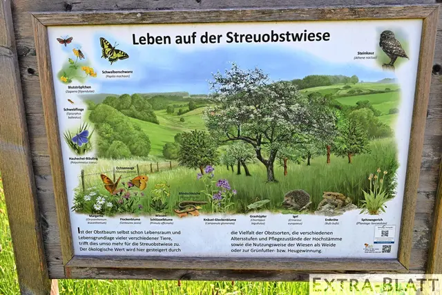 Foto: Steimel