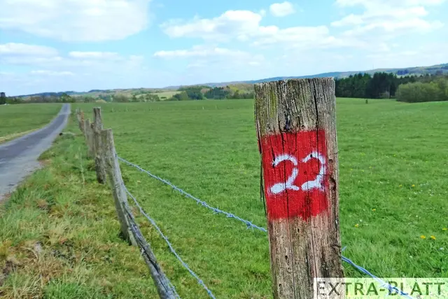 Foto: Steimel