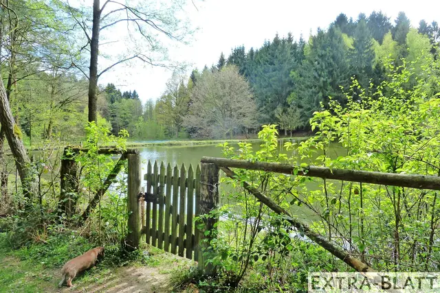 Foto: Steimel