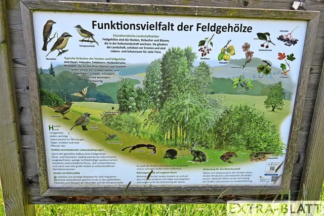 Foto: Steimel