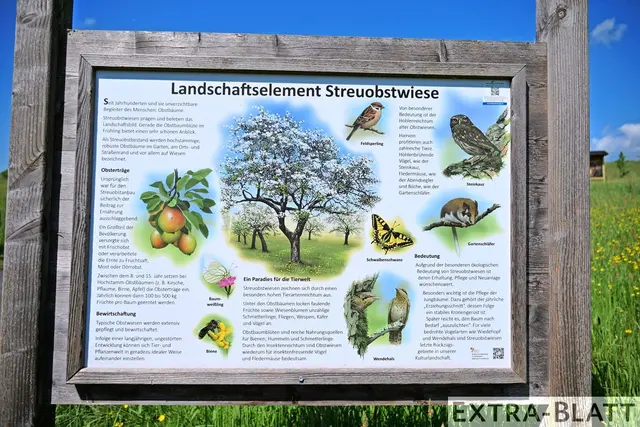 Foto: Steimel