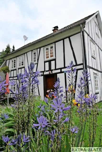 Foto: Steimel