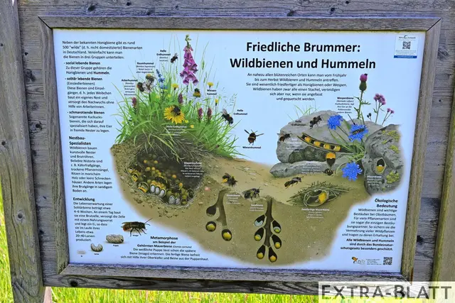Foto: Steimel