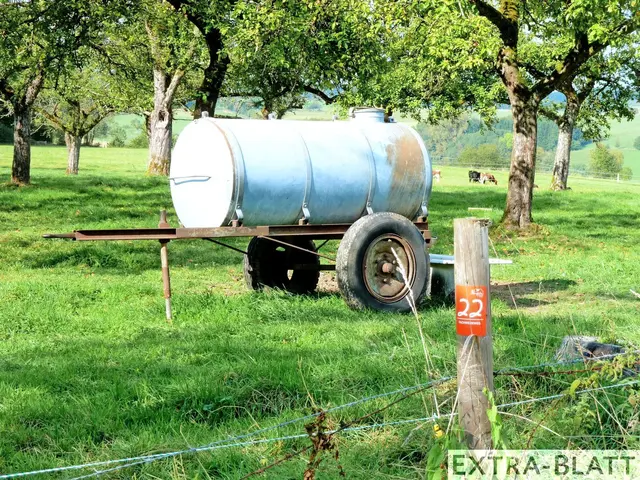 Foto: Steimel