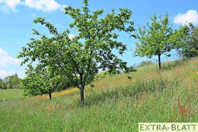 Foto: Steimel