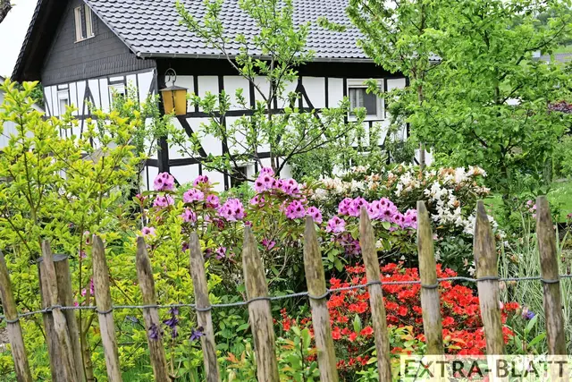 Foto: Steimel