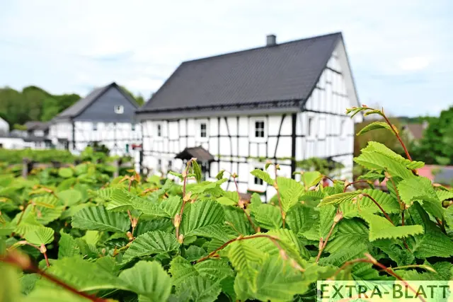 Foto: Steimel