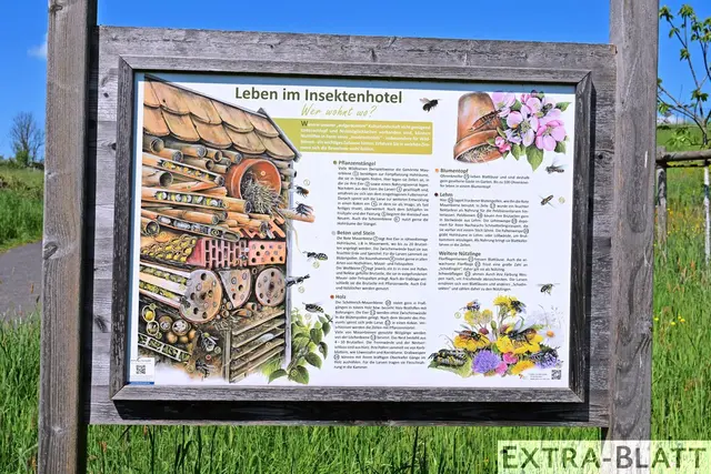 Foto: Steimel