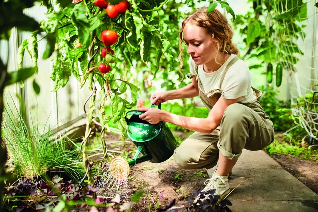 Blattläuse zählen zu den häufigsten Schädlingen im Garten. Foto: Compo/akz-o