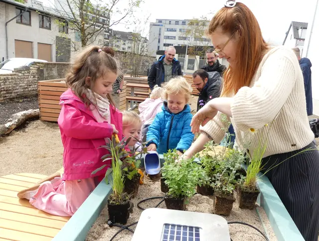 Eifrig bepflanzten die Kinder die mithilfe von Solar-Modulen und Tanks bewässerten Hochbeete mit Bergminze, Perlgras und Wiesensalbei. 
 | Foto: Gast