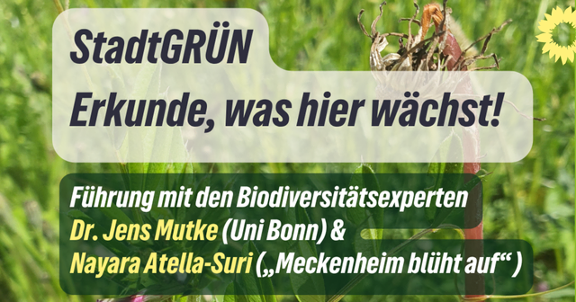 Führung durch die Stadt mit Biodiversitätsexperten | Foto: Bündnis90/Die Grünen Ortsverband Meckenheim