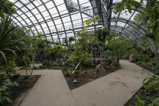 Das neue Schaugewächshaus im Botanischen Garten ist endlich fertig.  | Foto: Uwe Weiser