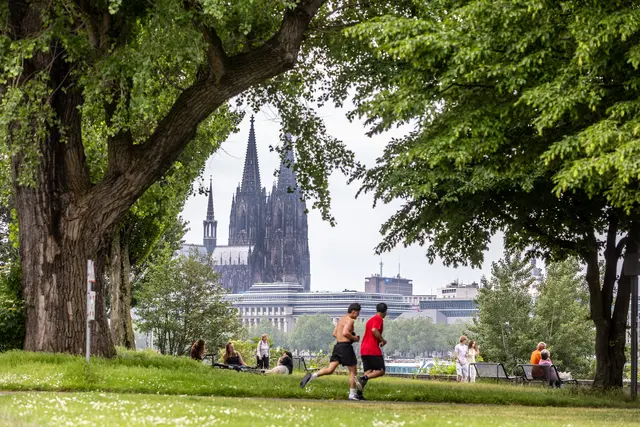 Der Rheinpark mit Blick auf den Dom.  | Foto: Martina Goyert