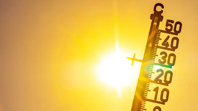 Temperaturen von über 30 Grad werden uns in den kommenden Tagen begleiten. | Foto: Corri Seizinger / Stock.Adobe.com