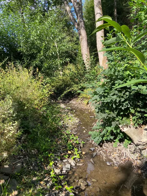 Aufgrund der anhaltenden Hitze führen auch die Bäche im
Oberbergischen Kreis aktuell deutlich weniger Wasser. Auf Wasserentnahmen sollte hier verzichtet werden. | Foto: OBK