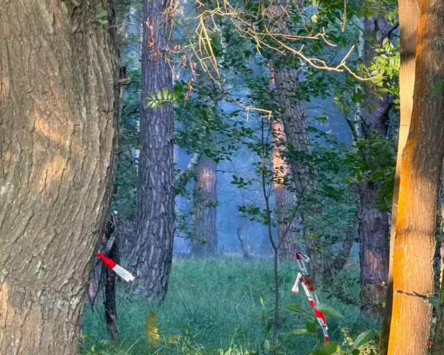 Waldbrand in der Wahner Heide. Foto: Feuerwehr Rösrath