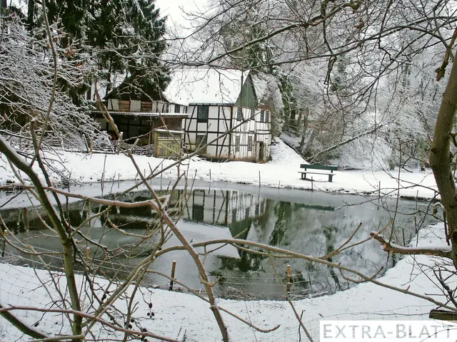 Foto: Steimel