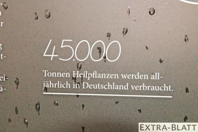 Foto: Steimel