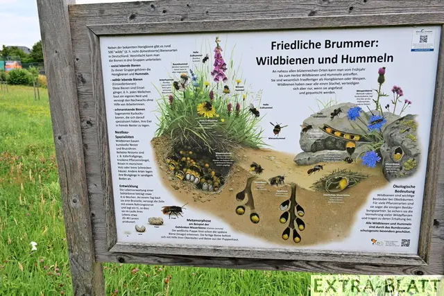 Foto: Steimel