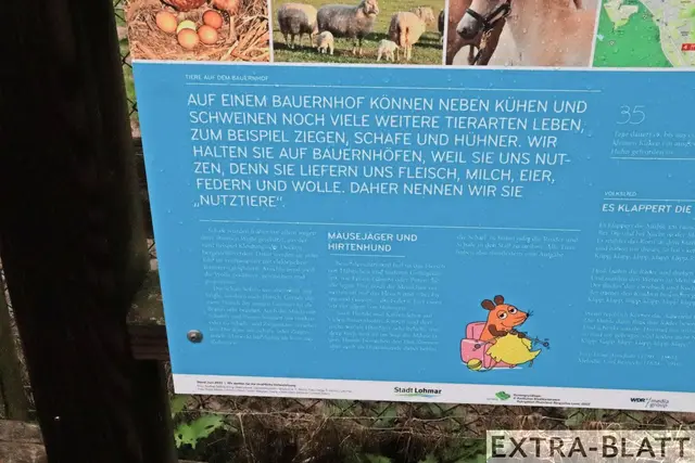 Foto: Steimel