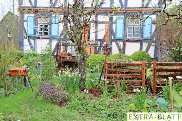 Foto: Steimel