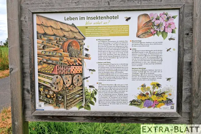 Foto: Steimel
