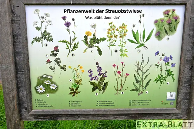 Foto: Steimel