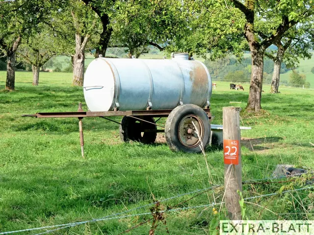Foto: Steimel