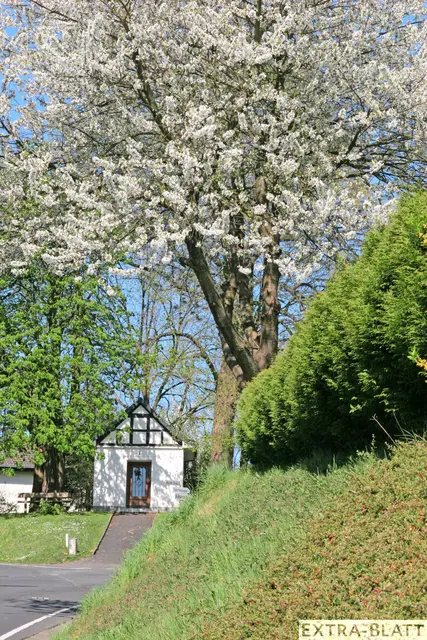 Foto: Steimel
