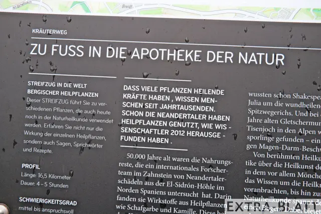 Foto: Steimel