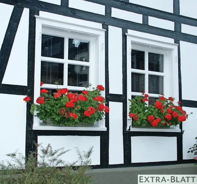 Foto: Steimel