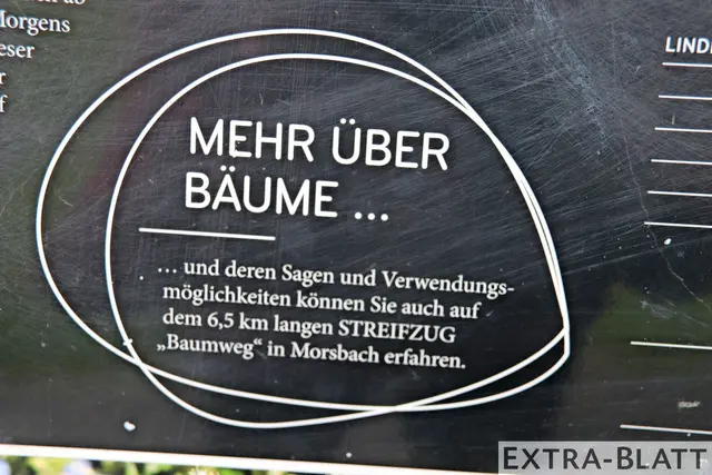 Foto: Steimel