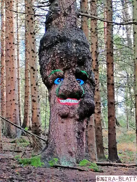 Foto: Steimel