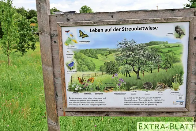 Foto: Steimel