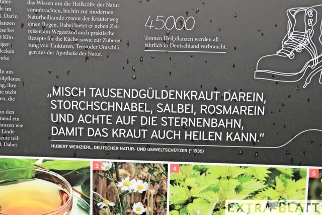Foto: Steimel