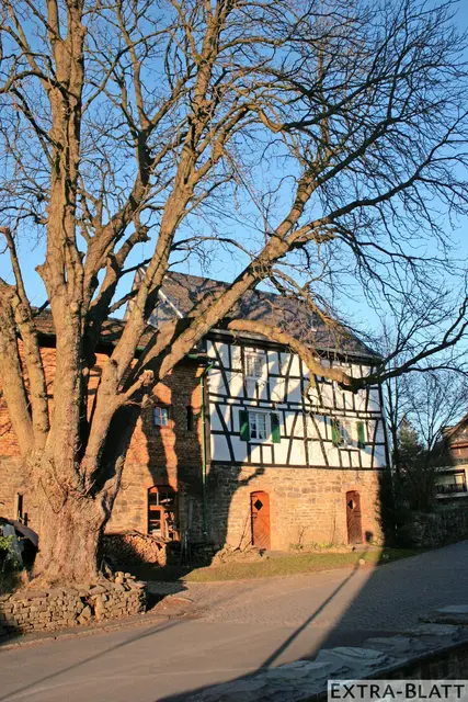Foto: Steimel