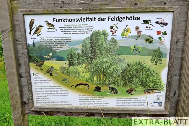 Foto: Steimel