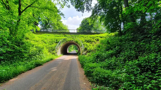 Einst ein Bahndamm, heute ein landschaftlich reizvoller Radweg: Die Balkantrasse. Foto: Gabi Knops-Feiler