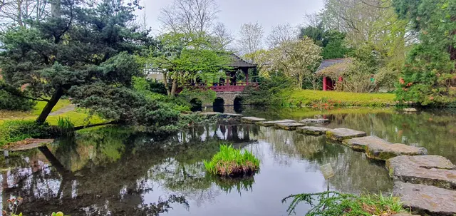 Der Japanische Garten ist das ganze Jahr hindurch lebendig, von Woche zu Woche zeigt er dem Besucher ein verändertes Gesicht. Foto: Gabi Knops-Feiler 
