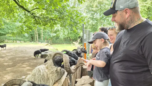 Ziegen, Schafe und Alpakas darf man mit dem Futter aus den im Wildpark aufgestellten Automaten füttern, einige lassen sich zusätzlich gerne streicheln. Foto: Gabi Knops-Feiler