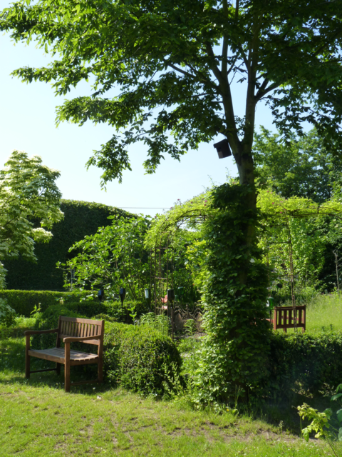 Bäume und große Sträucher sind natürliche Klimaanlagen. Foto: BGL