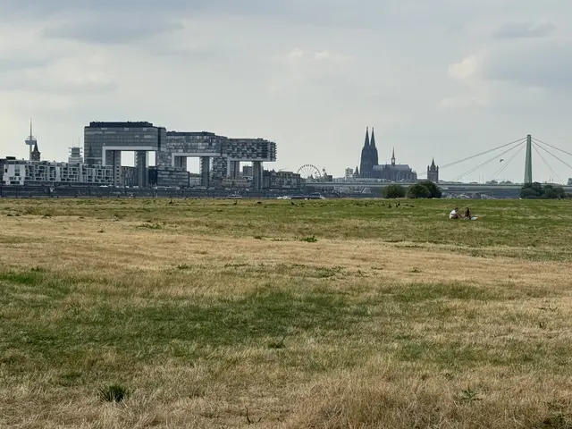 Von einigen Stellen der Poller Wiesen lässt sich der Rhein nur noch erahnen.  | Foto: Büge