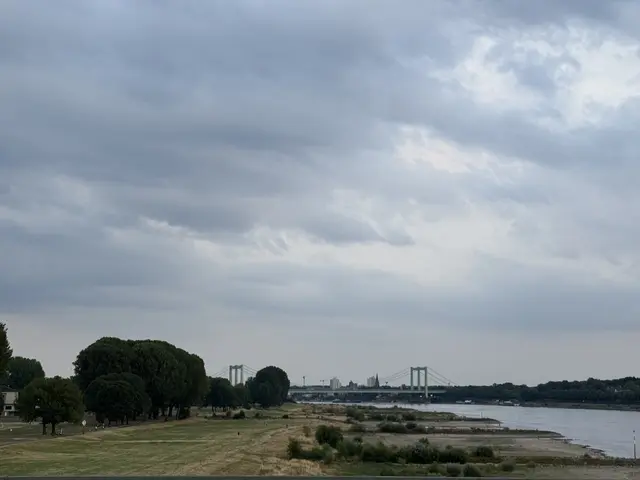 Ein Blick auf die Poller Wiesen und die Rodenkirchener Brücke. | Foto: Bild