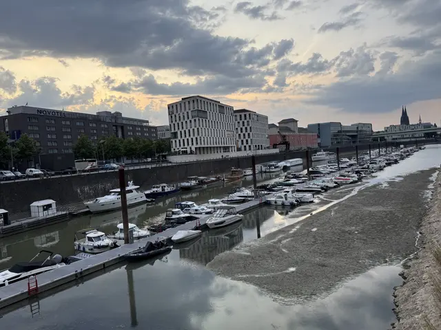 Am Rheinhafen liegen einige Boote auf dem Trockenen.  | Foto: Büge