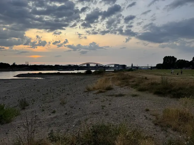 In Poll befindet sich zwischen den Buhnen kaum noch Wasser.  | Foto: Büge