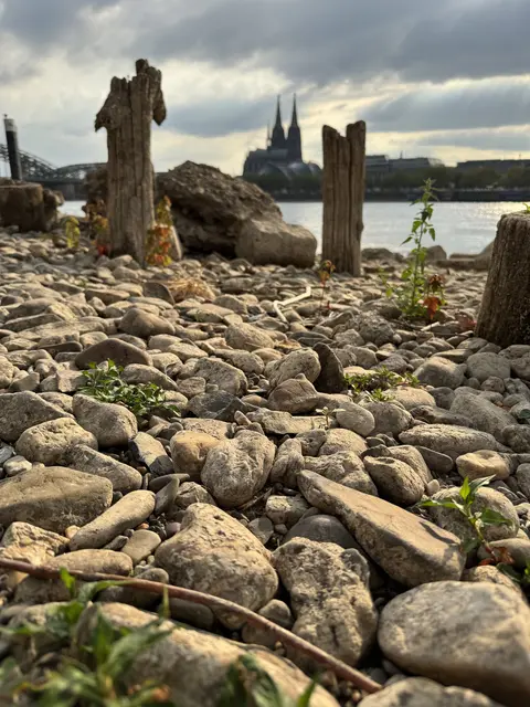 Die Überreste der ehemaligen Patton-Brücke kommen bei Niedrigwasser zum Vorschein.  | Foto: Büge