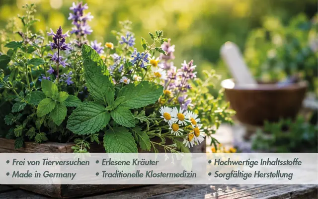 Viele Kräuter aus historischen Klostergärten erleben heute eine Renaissance. Sie stehen für jahrhundertealtes Wissen rund um Ernährung und Wohlbefinden. Foto: KI-generiert/akz-o