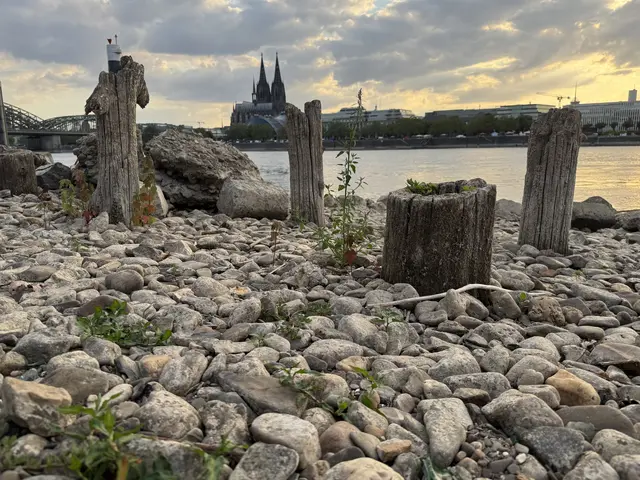 Bei Niedrigwasser werden auf Höhe des Tanzbrunnens Überreste der Patton-Brücke sichtbar.  | Foto: Büge