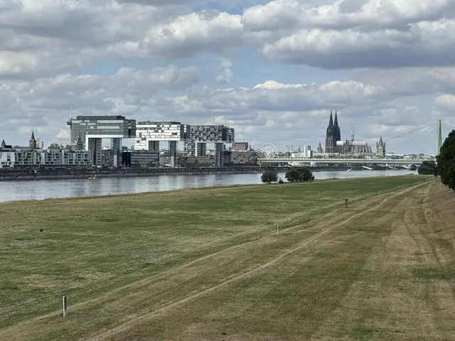 Ein Blick auf die Poller Wiesen am 7. August. 