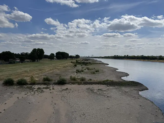 Zwischen den Buhnen ist kaum noch Wasser übrig.  | Foto: Büge